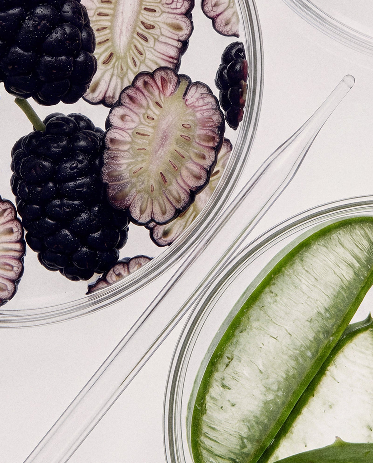 Find your way in the skincare jungle: 3 common mistakes
